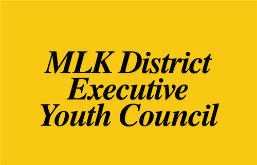 District Executive Youth Council